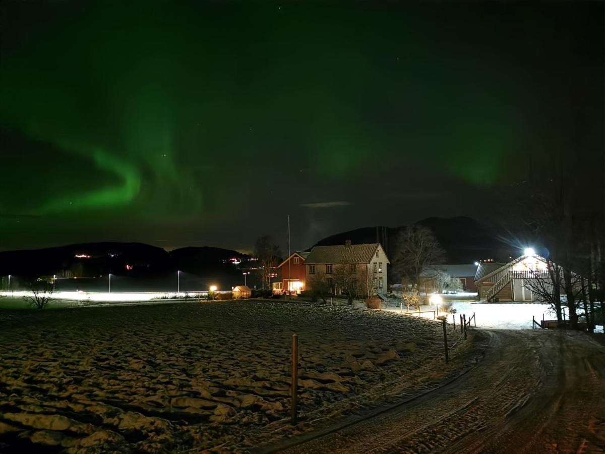 Unik Fjosleilighet Levanger Exterior foto